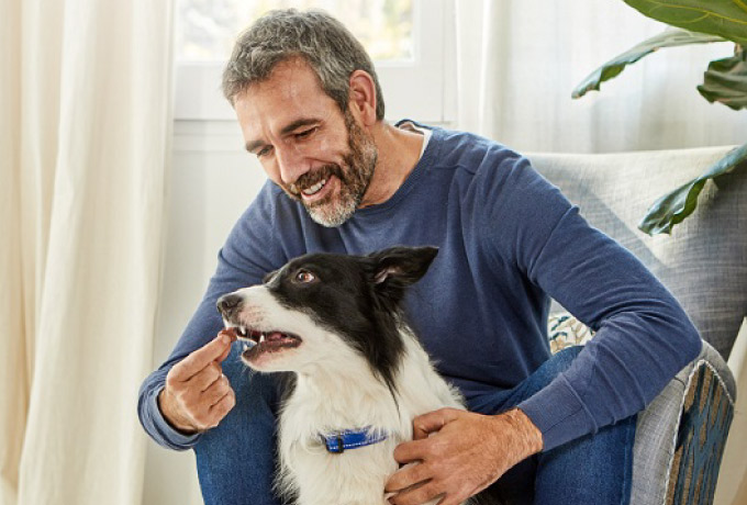 man feeding dog